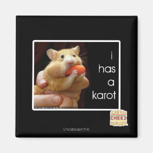Imán I tiene un karot