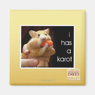 Imán I tiene un karot
