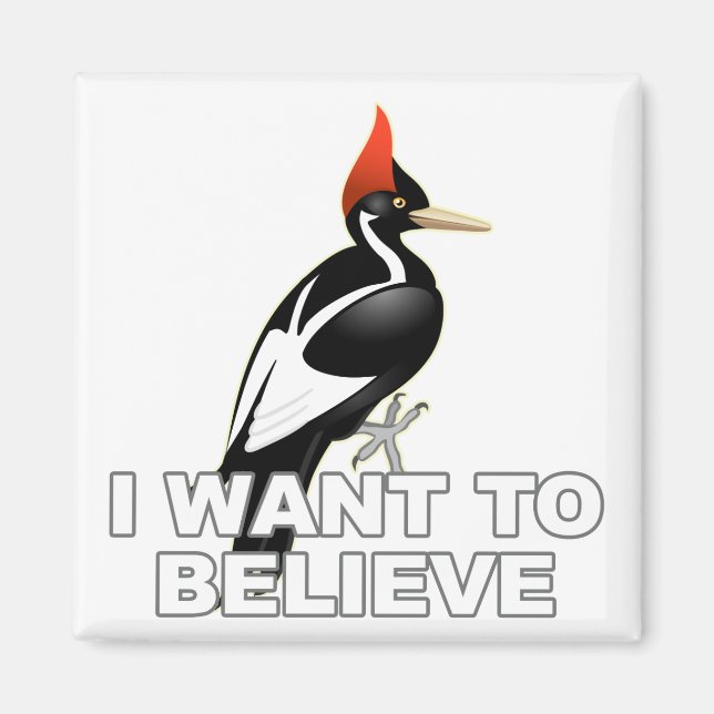 Imán IBWO: Quiero creer (Frente)