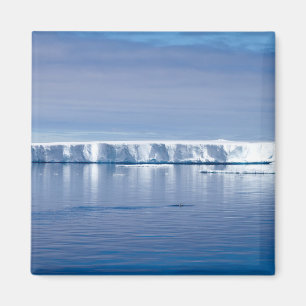 Imán Iceberg flotante