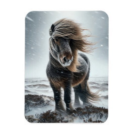 Imán Icelandic Horse In its Element Magnet