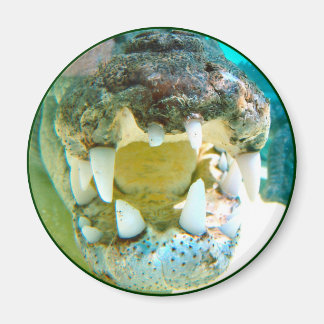 Imán Icono australiano - Gran Croc Terry - Magnet