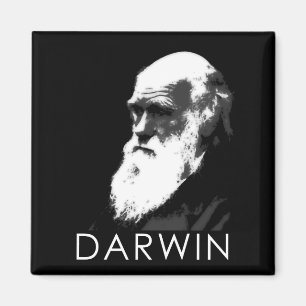 Imán Iconos de la ciencia: Darwin