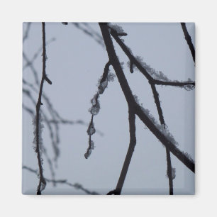 Imán Icy Branches Winter Nature Photography