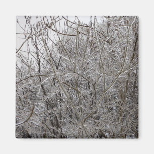 Imán Icy Twigs
