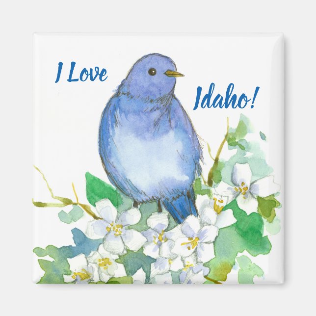 Imán Idaho Souvenir Mountain Bluebird Syringa (Frente)