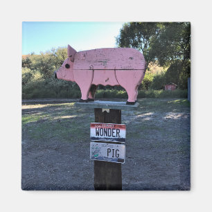 Imán Idaho Wonder Pig, Gracioso