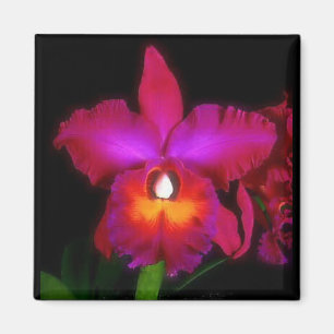 Imán ideal de la orquídea