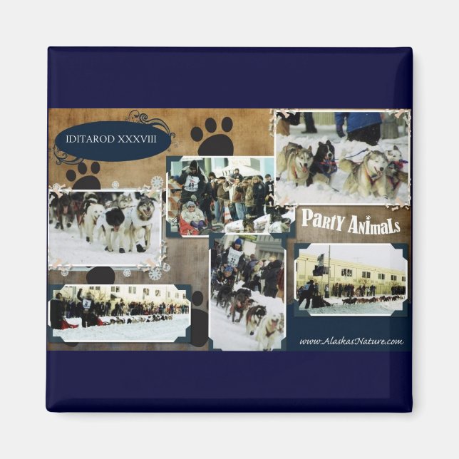 Imán Iditarod 2010 (Frente)