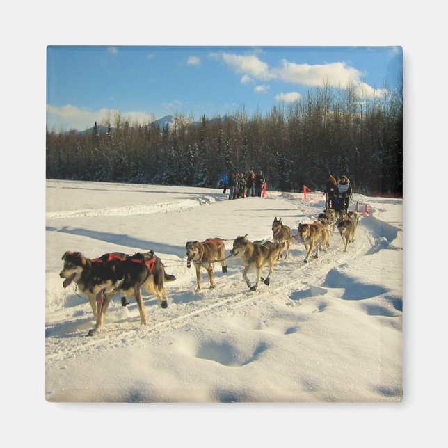 Imán Iditarod Trail Sled Dog Race (Frente)