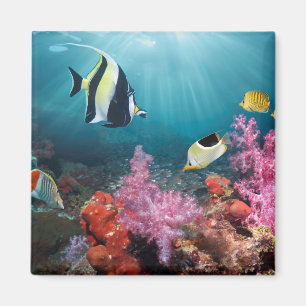 Imán Ídolo del Moorish del paisaje el   del arrecife d