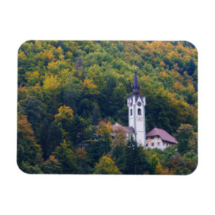 Imán Iglesia en un bosque de la caída en Eslovenia