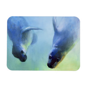 Imán Igualmente fascinación de 2003