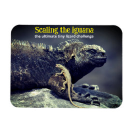 Imán Iguana marina y lagartija de lava