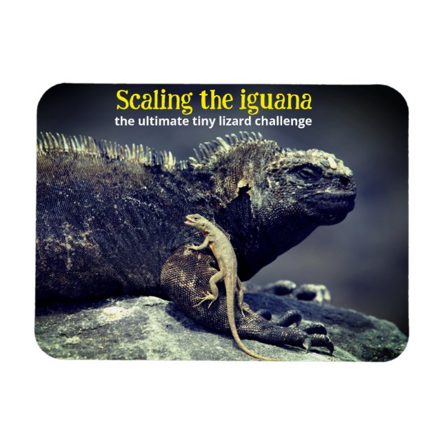 Imán Iguana marina y lagartija de lava (Horizontal)