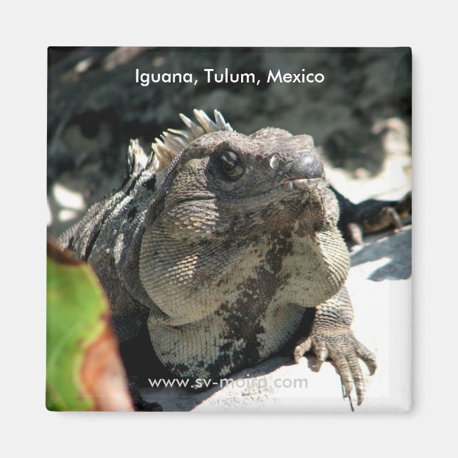 Imán Iguana, Tulum, México (Frente)