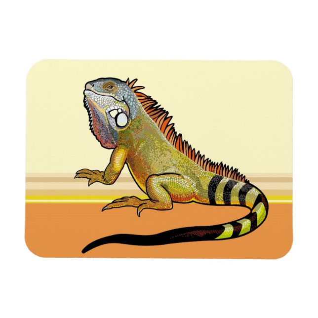 Imán iguana verde (Horizontal)