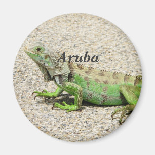 Imán Iguana verde de Aruba