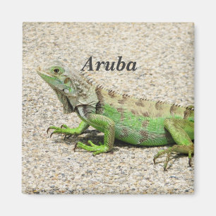 Imán Iguana verde de Aruba