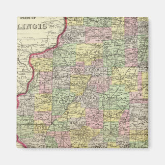 Imán Illinois 10