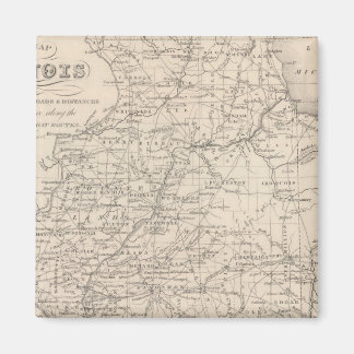 Imán Illinois 12