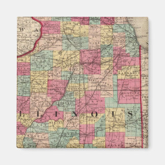 Imán Illinois 12