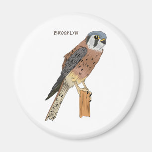 Imán Ilustracion americano de aves de Kestrel