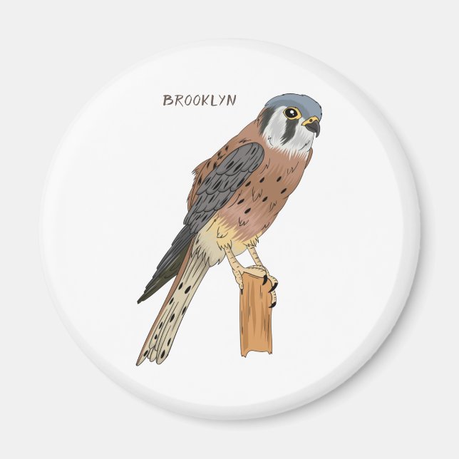 Imán Ilustracion americano de aves de Kestrel (Frente)
