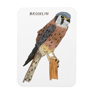 Imán Ilustracion americano de aves de Kestrel