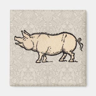 Imán Ilustración antigua de cerdo adorable vintage