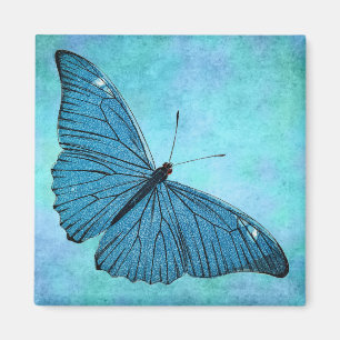 Imán Ilustracion azul verde azulado de los 1800s de la