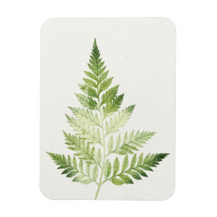 Imán Ilustracion botánico del Fern Verde minimalista