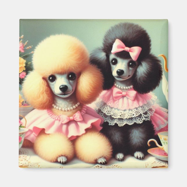 Imán Ilustracion Cute Poodle (Frente)