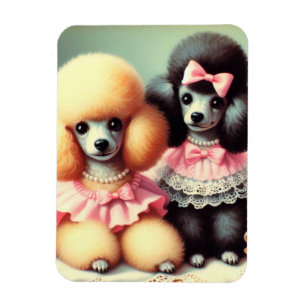 Imán Ilustracion Cute Poodle