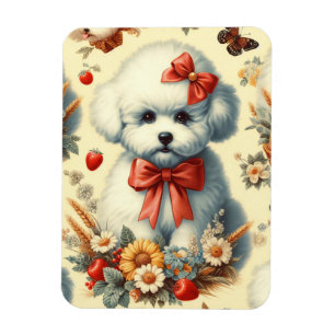 Imán Ilustracion Cute Vintage Bichon Frisé