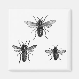 Imán Ilustración de abeja reina vintage y abejas trabaj