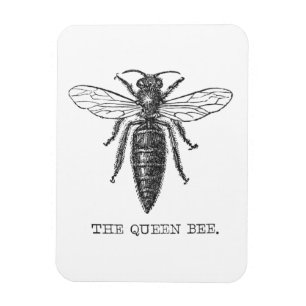 Imán Ilustracion de antigüedades de insectos de Queen B