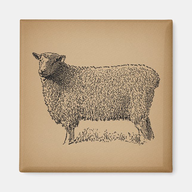 Imán Ilustracion de Arte de Oveja Clásico Animal de gra (Frente)