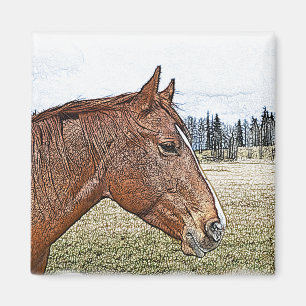 Imán Ilustracion de arte equino con retrato de caballo