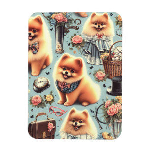 Imán Ilustracion de Cute Pomerania