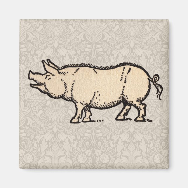 Imán Ilustracion de época de cerda de cerdo (Frente)