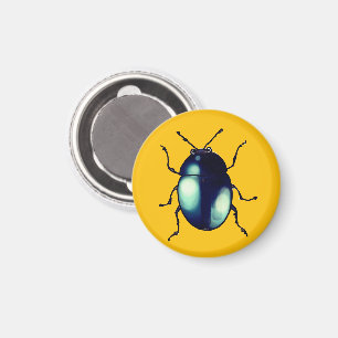 Imán Ilustracion de escarabajo azul brillante