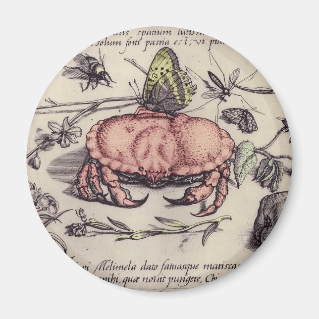 Imán Ilustración de flor de insecto botánico de cangrej (Frente)