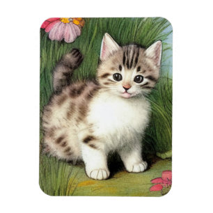 Imán Ilustracion de gato vintage con flores rojas