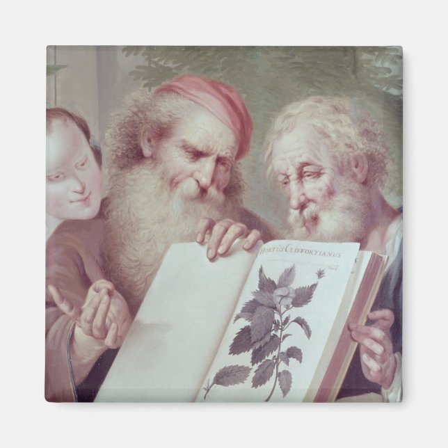 Imán Ilustracion de Hortus Cliffortianus (Frente)