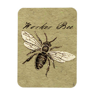 Imán Ilustración de insecto abeja obrera