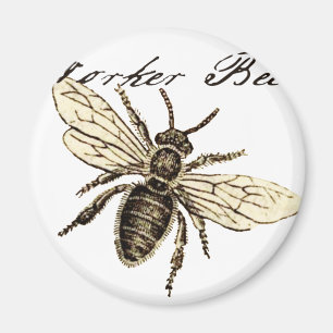 Imán Ilustración de insecto abeja obrera