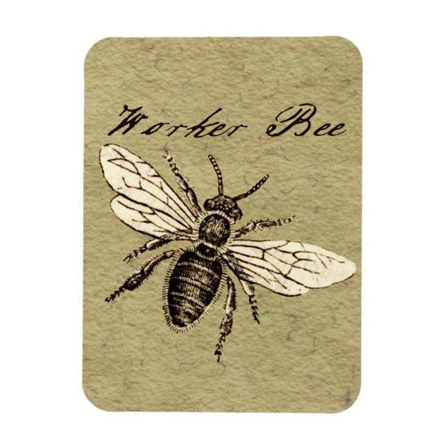 Imán Ilustracion de Insectos de Abeja para trabajadores (Vertical)