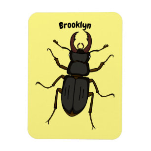 Imán Ilustracion de insectos Stag