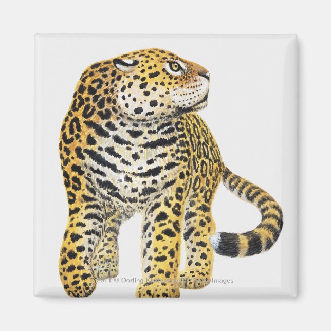 Imán Ilustracion de Jaguar con la cabeza en perfil (Frente)